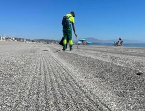 El Ayuntamiento de La Línea retiró 234 toneladas de residuos de las playas cumplido el ecuador de la campaña iniciada en junio