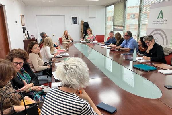 El Comité Territorial contra la Violencia de Género organiza su labor para priorizar problemas y emprender acciones en la provincia de Cádiz