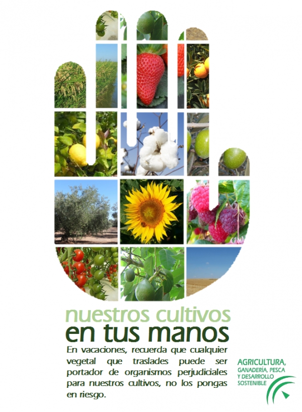 La Junta inicia una campaña dirigida al público general sobre el riesgo que supone traer plantas y frutas de otros países