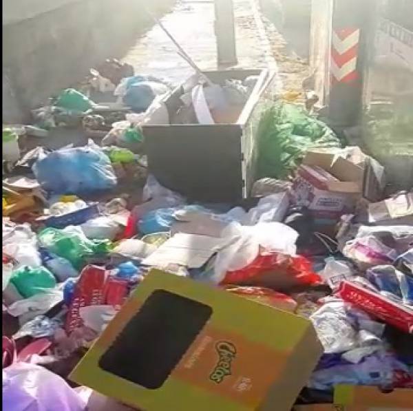 CSIF lamenta la pasividad del Ayuntamiento de La Línea pare evitar la acumulación de basuras en varias calles de Las Palomeras