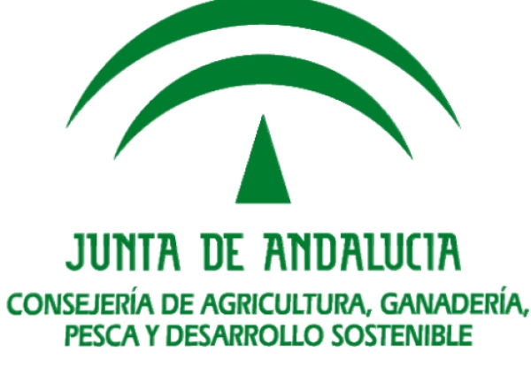 La Junta de Andalucía reclama un reparto más equitativo de  la cuota de pesca de sardina entre España y Portugal