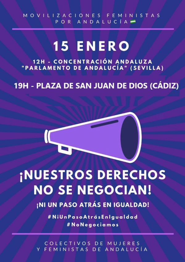 Colectivos de mujeres y feministas de Andalucía convocan concentraciones ante el Parlamento de Andalucía y en las provincias el 15 de enero