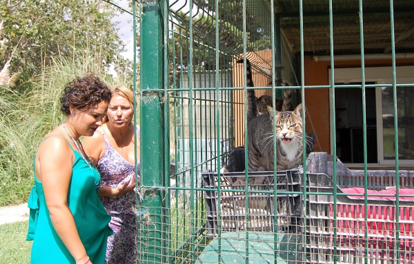 La alcaldesa accidental visita la protectora ‘Adopta un gatito Los Barrios’ y solicita la colaboración ciudadana