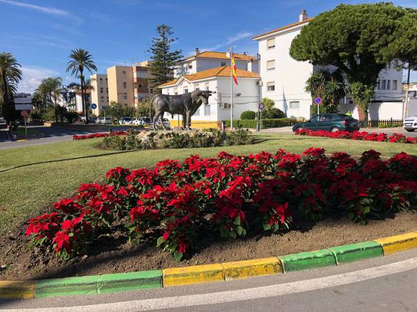 Parques y Jardines de Los Barrios decora rotondas del municipio con pascueros