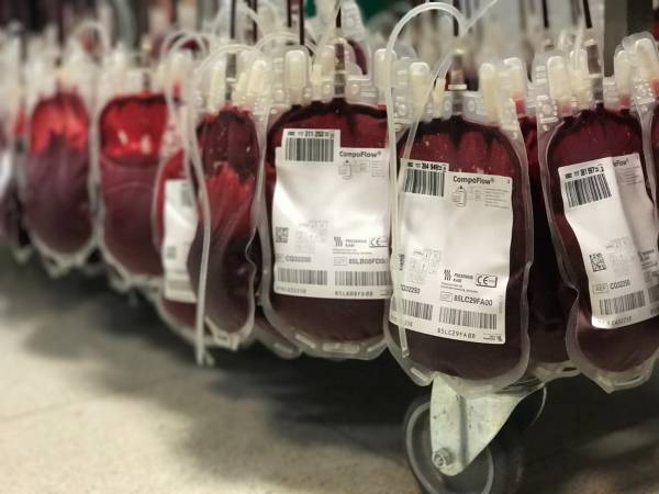Los centros de transfusión, tejidos y células de Andalucía ponen en marcha la campaña de verano de donación de sangre