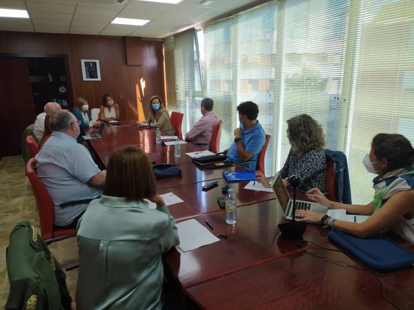 Salud y Familias se reúne con ATAI para seguir avanzando en la mejora de la Atención Temprana en Andalucía