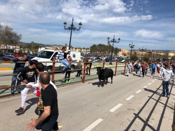 El Ayuntamiento de Los Barrios emite un bando con las normas para el buen desarrollo de la  fiesta del Toro Embolao