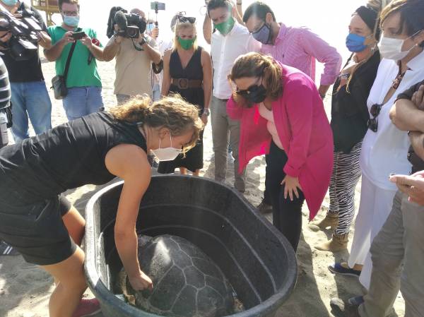 El alcalde de La Línea ha acompañado a la consejera de Agricultura, Pesca y Desarrollo Sostenible en la suelta de dos tortugas boba en la playa de El Burgo