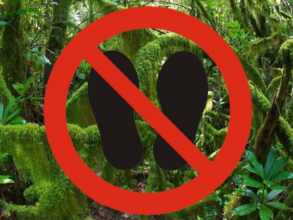 Verdes de Europa-Tarifa denuncia que el director conservador del Parque Natural de Los Alcornocales Juan Manuel Fornell demuestra nuevamente su negligencia profesional para con el paso de la Euroafrica-Trail por un lugar con alto valor ecológico
