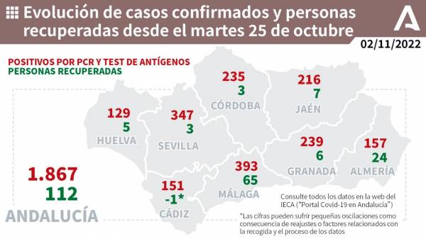 Coronavirus Andalucía : 239 pacientes confirmados con COVID-19 permanecen ingresados en los hospitales andaluces, de los que 13 se encuentran en UCI