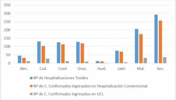 1.017 pacientes confirmados con COVID-19 permanecen ingresados en los hospitales andaluces, de los que 135 se encuentran en UCI