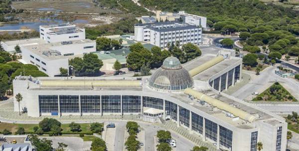 La Junta y la Universidad de Cádiz analizan las nuevas instrucciones para la incorporación de alumnos en prácticas a los centros sanitarios