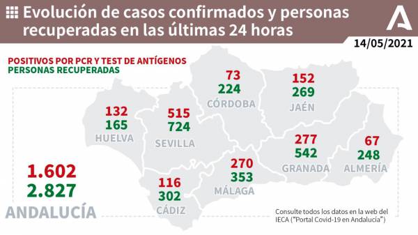 Coronavirus Andalucía | 1.081 pacientes confirmados con COVID-19 permanecen ingresados en los hospitales andaluces, de los que 285 se encuentran en UCI