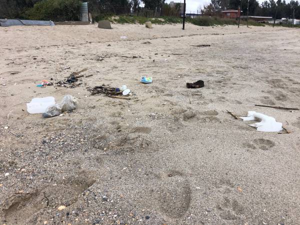 El Ayuntamiento acomete una limpieza de mantenimiento en la playa de Palmones