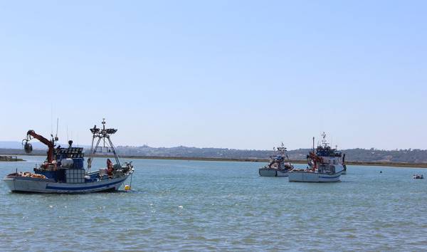 Andalucía logra 15M€ más de fondos europeos para apoyar a la pesca en el marco 2021-2027