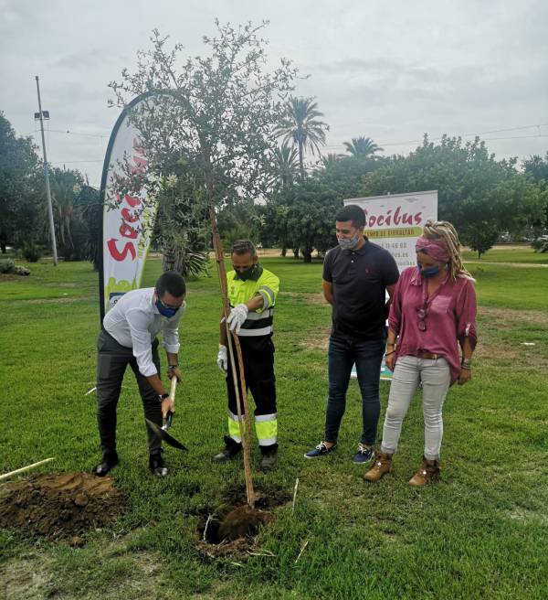 El Ayuntamiento de La Línea y Socibus plantan cinco  alcornoques en el Parque Princesa Sofía en la Semana Europea de la  Movilidad