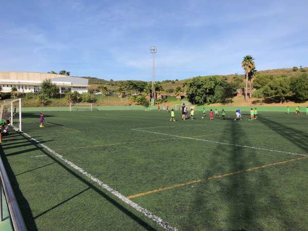 Las obras de renovación del campo de césped artificial de fútbol 11 de Los Barrios comenzarán a mediados del mes de junio para no interrumpir la competición