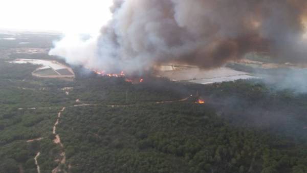 La Junta informa en el Consejo de Doñana de las inversiones para restaurar las zonas afectadas por el incendio de 2017