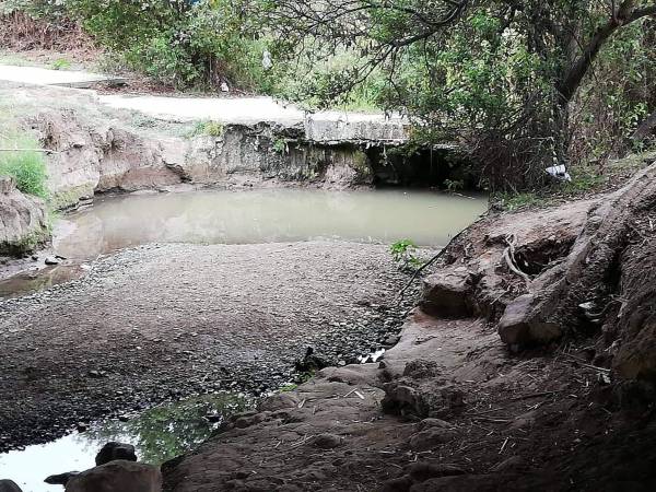 Verdemar Ecologistas en Acción denuncia la pérdida de caudal del río Pícaro en Algeciras