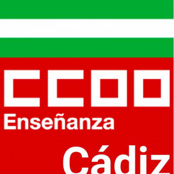 El sindicato de Enseñanza de CCOO de Cádiz inicia una intensa campaña en el Campo de Gibraltar para conocer de primera mano la vuelta a las aulas