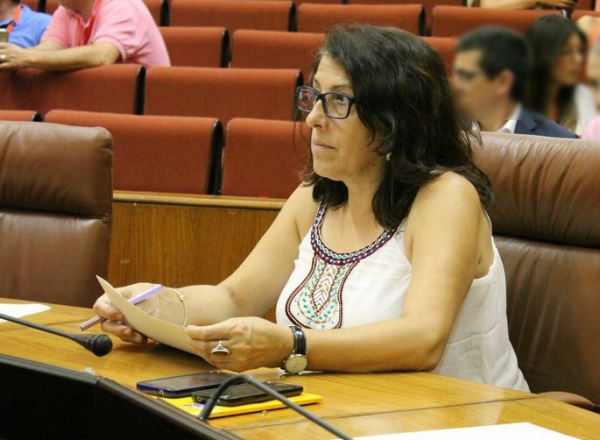 Adelante Andalucía exige a la Junta una actuación “inmediata” en el Parque Eólico Monte Ahumada 1 de Tarifa