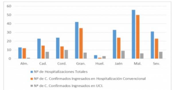 La Consejería de Salud y Familias informa que, actualmente, 226 pacientes confirmados con COVID-19 permanecen ingresados en los hospitales andaluces, de los que 52 se encuentran en UCI
