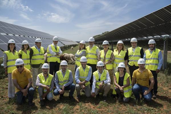 Carmen Crespo apuesta por “compatibilizar” la implantación de las energías renovables con la agricultura y la ganadería en Andalucía