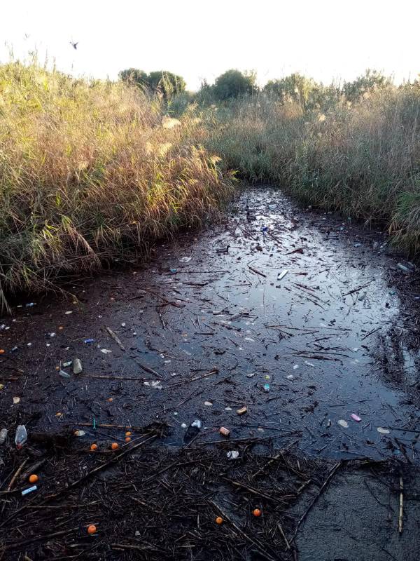 Verdemar Ecologistas en Acción denuncia el mal estado del Arroyo Negro después de las lluvias