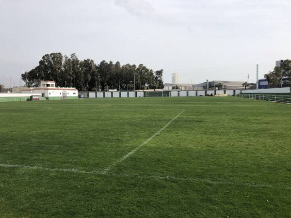 Adjudicado el contrato para la instalación de césped artificial en el campo de fútbol de Palmones