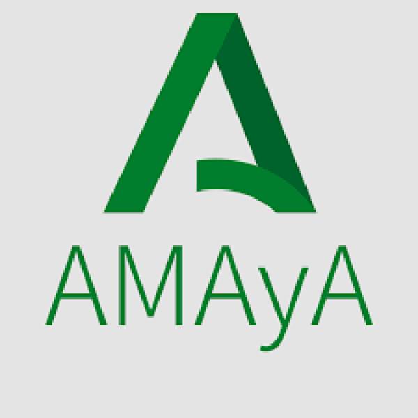 Amaya resolverá las dudas de los trabajadores del Infoca sobre el protocolo de seguridad antes de iniciar las labores de desinfección