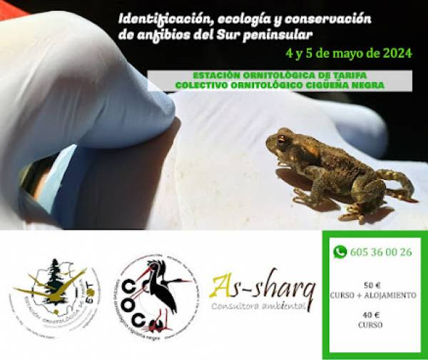 Tarifa acoge un curso organizado por As-Sharq Consultora ambiental y el Colectivo Ornitológico Cigüeña Negra