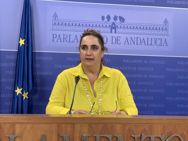 Ángela Aguilera rechaza la planta de gas liquado en Palmones y pregunta a la Junta sobre su posicionamiento