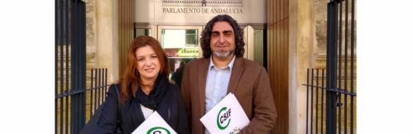 Responsables de Sanidad de CSIF Cádiz trasladan a varios grupos políticos del Parlamento andaluz la situación del Campo de Gibraltar