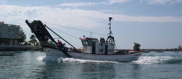 Ifapa pondrá en marcha cerca de 100 cursos de formación pesquera durante 2021