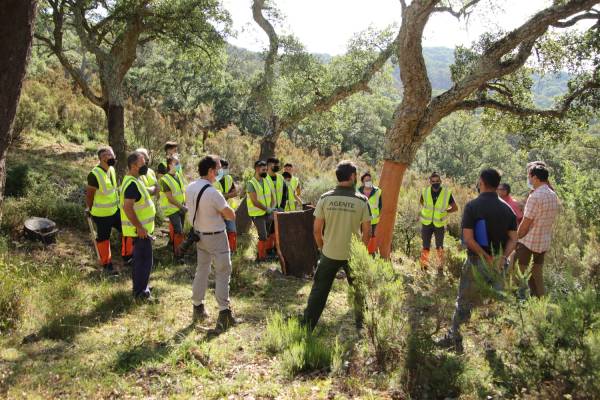 Desarrollo Sostenible desarrolla la tercera edición de la Escuela de Corcheros en el Parque Natural Los Alcornocales
