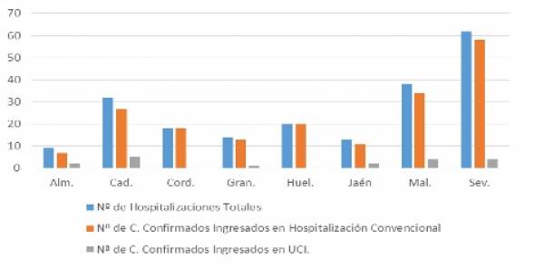 Coronavirus Andalucía : 206 pacientes confirmados con COVID-19 permanecen ingresados en los hospitales andaluces, de los que 18 se encuentran en UCI