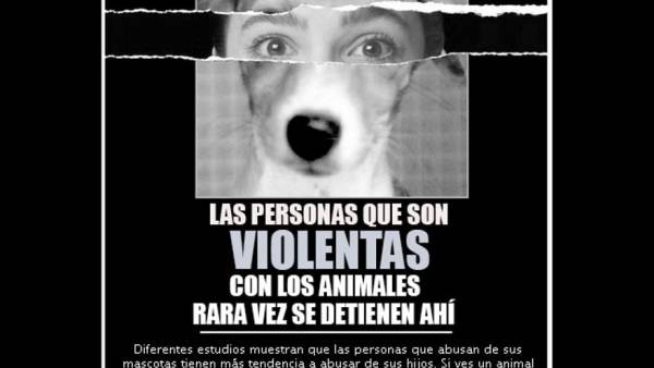 VERDES EQUO Tarifa advierte que “La crueldad hacia los animales no es una válvula de escape inofensiva en un individuo sano,es una señal de alarma”