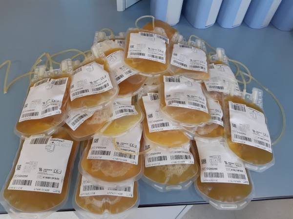 La provincia de Cádiz registra 132 donaciones de plasma hiperinmune para combatir el Covid-19