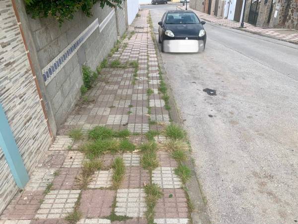PSOE Los Barrios : “La malas hierbas y el abandono en las barriadas es bochornoso”