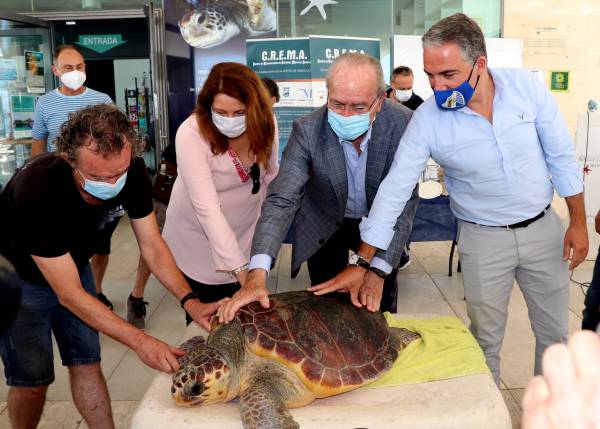 La Junta retomará la colaboración con el Aula del Mar para la recuperación de especies amenazadas