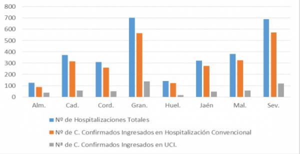 Salud y Familias informa de que, actualmente, 3.038 pacientes confirmados con COVID-19 permanecen ingresados en los hospitales andaluces, de los que 519 se encuentran en UCI
