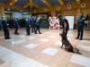 Alconchel preside la clausura del curso de guías caninos y perros detectores de drogas impartido por la Escuela de Policía Local de Los Barrios